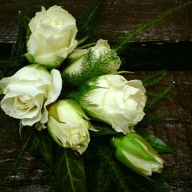 fwthumb11 ivory spray rose corsage 11.95.jpg